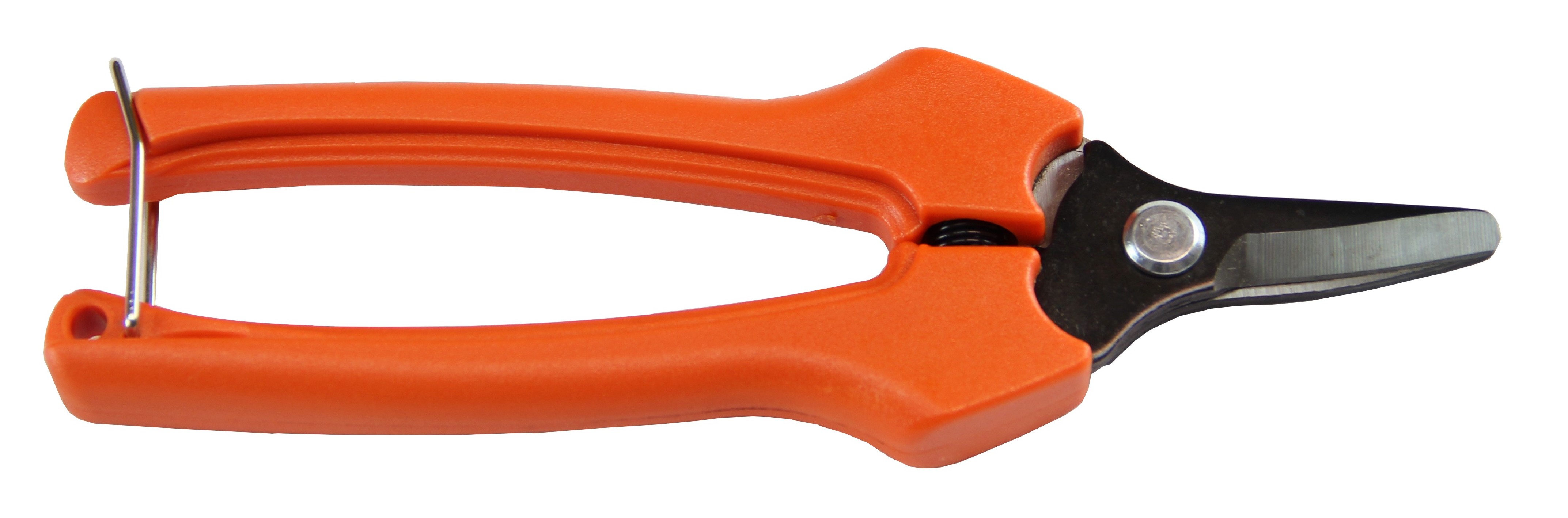 6.5” Curved Fruit Scissors
