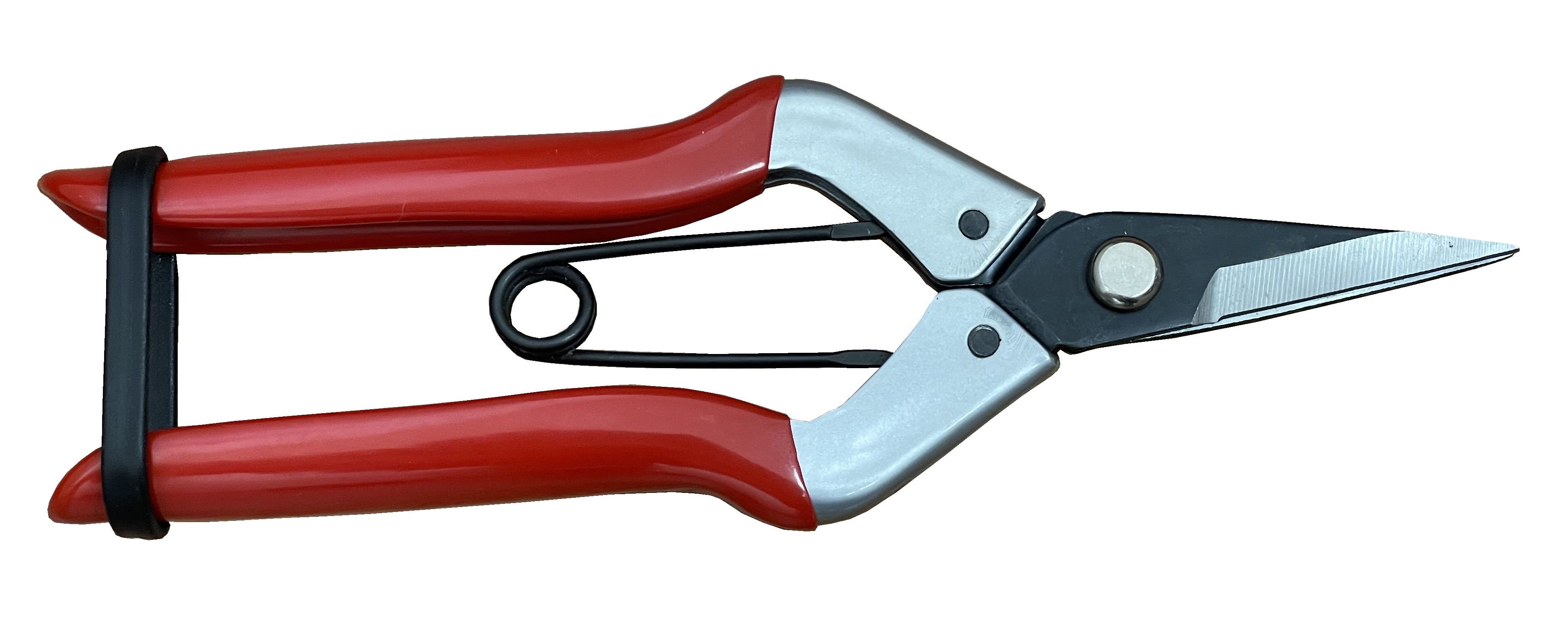 167mm Curved Fruit Scissors