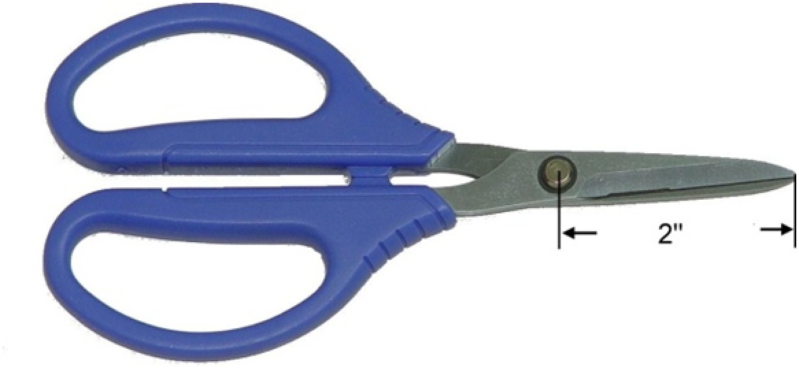 6.75" Utility Scissors