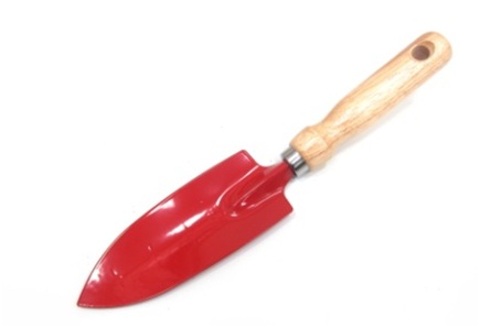 Transplanter