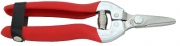 6.5" Straight Fruit Scissors
